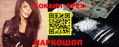 шишки Дубна