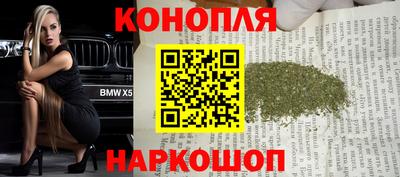 шишки Дубна