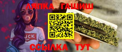 шишки Дубна
