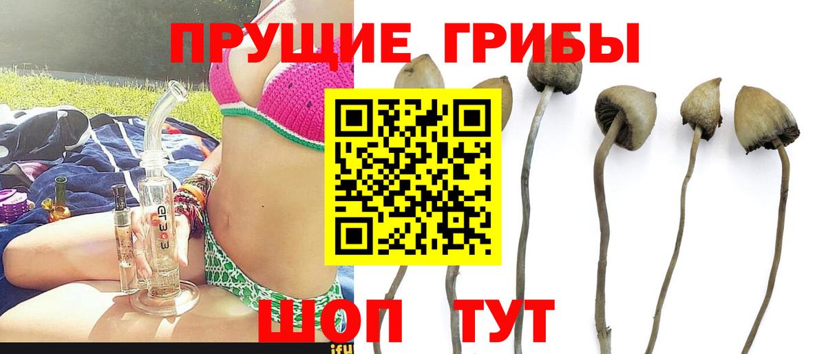 Галлюциногенные грибы мухоморы  Галлюциногенные грибы MAGIC MUSHROOMS  Лянтор  Вход с VPN 