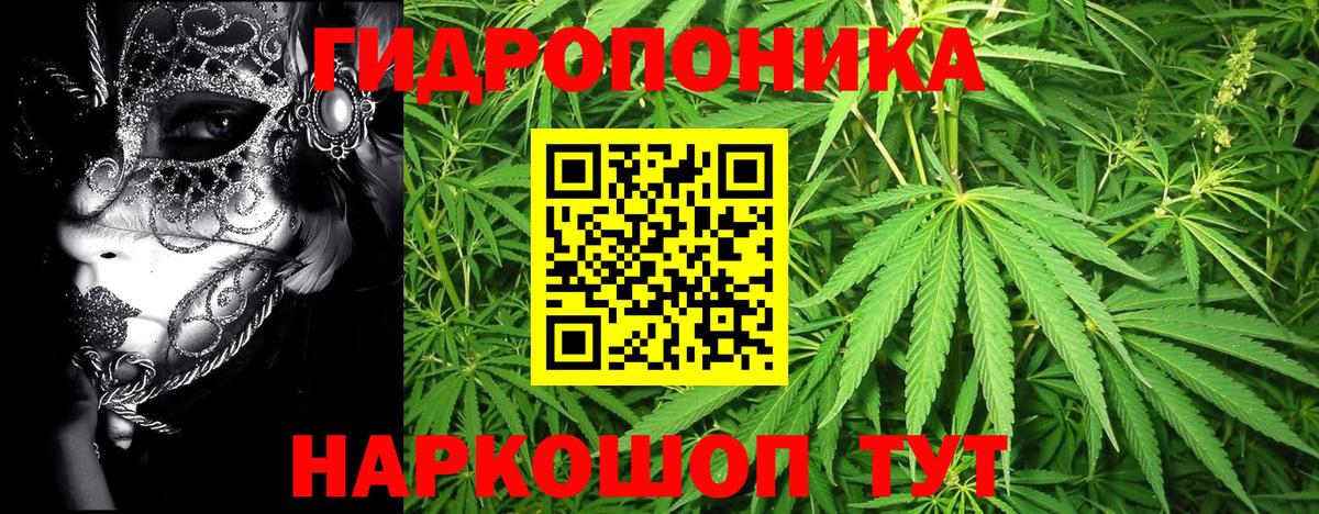 Лянтор  Канабис SATIVA & INDICA  Конопля семена  Каннабис тримм  Вход с VPN  Шишки марихуана конопля 